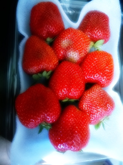 rotten-strawberries